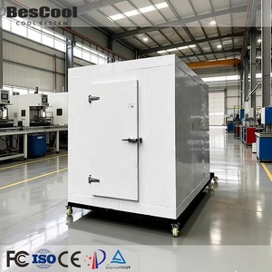 Vente chaude, chambre froide réfrigérée de petite taille, écologique, congélateur robuste pour la viande, les fruits de mer, prix d'usine - Product Image 1