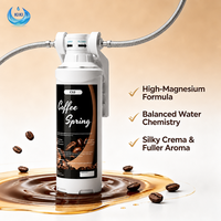 Cartouche filtrante à changement rapide sous évier pour machine à expresso, avec infusion de magnésium minéral, pour eau de café, remplacement facile