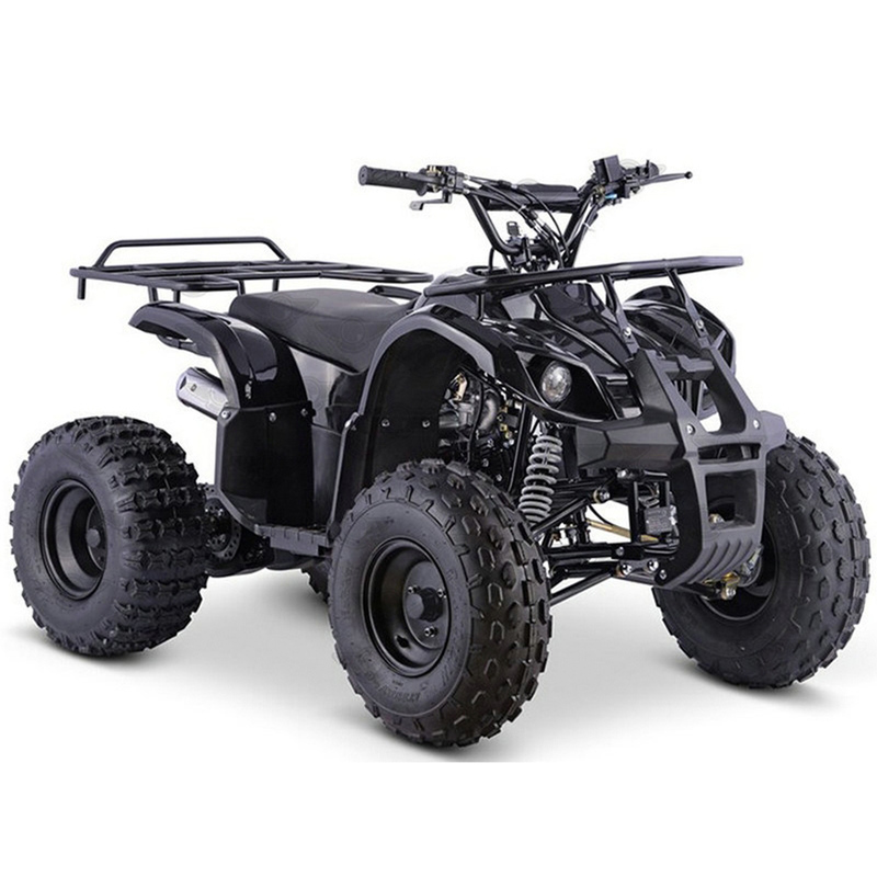 High Quality 49cc 4 Wheel Gasoline