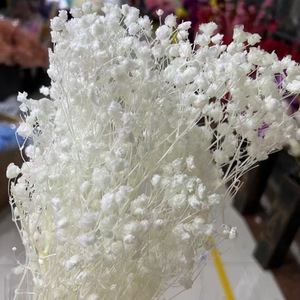 Fiori Secchi Preservati, Bouquet Eterno per Matrimoni, Composizioni Floreali Fai-da-Te per Pasqua, San Valentino, Festa della Mamma, Natale - Product Image 3