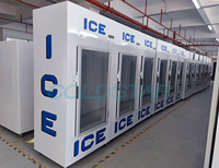 Congélateur à glace pour l'extérieur ou l'intérieur, glacière, sacs à glace, conserve les produits, bac de stockage de glace, congélateur