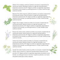 Kit de plantation d'herbes aromatiques biologiques de haute qualité, 14 sachets de graines d'herbes aromatiques biologiques, boîte incluse, pour plantation en intérieur