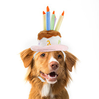 Chapeau d'anniversaire pour animaux de compagnie à motif dessin animé, bavoir anti-bave d'anniversaire pour animaux, bandana pour chien, accessoires pour animaux, fournitures pour animaux
