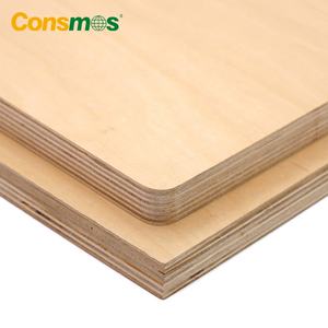 Contrachapado de abedul 100% fenólico de alta calidad Consmos 1525X3050mm, 1525X25mm, 1525X3000mm,1500X3000mm - Product Image 5