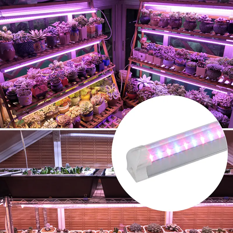 T8 Grow Light Plantes d'intérieur haute luminosité LED à spectre complet LED T8 Tubes