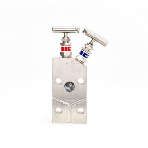 Rosemount de Alta Precisión, Dos Grupos de Valores 0306RT22BA11, al Mejor Precio - Product Image 6