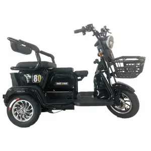 China Cool 3 Wheel Electric Tricycle Hot Sale 500w Adult Electric Passenger Cargo Tricycle Scooter