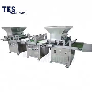 Totalmente automático vegetal flor semente bandeja semeadora para culturas como alface berinjela e petúnia com distribuição uniforme de sementes - Product Image 1