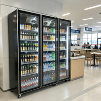 Réfrigérateurs de Luxe Commerciaux pour Boissons, Vitrines Réfrigérées, Réfrigérateurs à Vin en Verre, Meubles Bar à Vin pour Supermarchés et Clubs