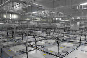 Cấp giấy chứng nhận GB GMP Nasa COE tiêu chuẩn laminar Air Flow xách tay Modular phòng sạch với làm sạch không khí thiết bị - Product Image 4