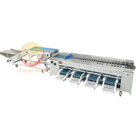 Automatische continue rollen aardappel sorteermachine met aanpasbare borstelreiniging voor fruit diameter sortering