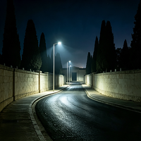 Farola Profesional de 300W con Potente Iluminación, IP66, Resistente a Climas Extremos, Estándar Global