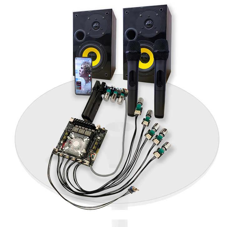 WUZHI Audio ZK-DAM L1 Karaoke Amplifier 2.1 Channel BT Amplifier