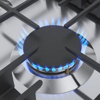 Cuisinière électrique et à gaz en acier inoxydable de haute qualité puissante pour l'allumage électronique de l'utilisation de camping-car domestique en plein air