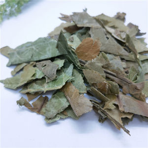 Fornecimento de fabricação de alta qualidade Pi Pa Ye chá de folhas de loquate com ervas chinesas naturais secas - Product Image 2