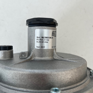 Régulateur de gaz naturel Madas FRG/2MCS pour petite usine, avec filtre réducteur FCS040000 DN25 - Product Image 1