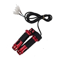 Accélérateur de Poignée Universel 12V-72V Trois Vitesses pour Trottinette Électrique Citycoco et Pièces de Moto
