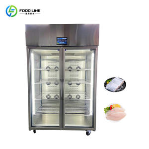 Grande Armadio di Scongelamento per Cucina Centrale in Acciaio Inox, Attrezzatura per Freschezza a Bassa Temperatura - Product Image 2