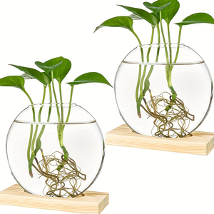 Fabricant <span class=keywords><strong>pas</strong></span> <span class=keywords><strong>cher</strong></span> créatif hôtel fleur plante hydroponique décoration de bureau <span class=keywords><strong>vase</strong></span> <span class=keywords><strong>en</strong></span> verre avec cadre <span class=keywords><strong>en</strong></span> <span class=keywords><strong>bois</strong></span> - Product Image 1
