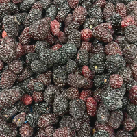 Vers geoogste 10kg moerbeien, individueel snelgevroren om de natuurlijke zoetheid en voedingswaarde te behouden. Diepvriesfruit.