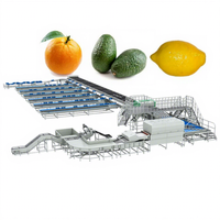 Volledig automatische roestvrijstalen energiebesparende avocado was-, droog-, was- en sorteerlijn