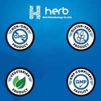 Creatina Monohidrato Vegana OEM en Polvo, Sin Azúcar, Suplemento Pre-Entrenamiento para Adultos, 5g por Porción, 120 Unidades, Gestión de Energía