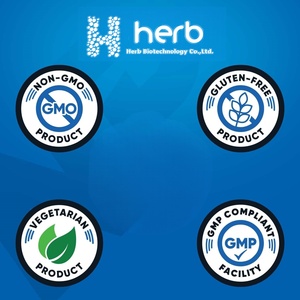 Suplemento Pre-Entrenamiento Vegano en Polvo de Creatina Sin Azúcar ODM para Apoyo Energético - Product Image 3