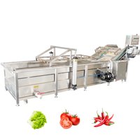 Fabrieks prijs automatische 304 roestvrijstalen fruit- en groente ozonbelwasmachine knoflook luchtbellenwasmachine