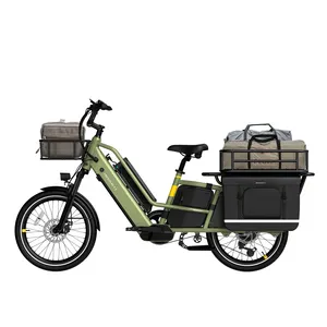 Bicicleta elétrica de carga com pneu gordo familiar de 2 rodas, novo design, 1000 W, pneu gordo, Cargobike com IoT