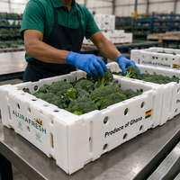 Boîte d'emballage personnalisée en carton alvéolé PP pour le transport de brocoli frais, découpée sur mesure, ventilée et durable