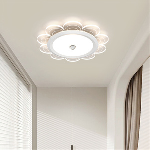 กล้วยไม้ไฟเพดาน LED แบบโมเดิร์นบางเฉียบสำหรับห้องนั่งเล่นห้องนอนโคมไฟอะคริลิคเหล็กศิลปะโคมไฟเพดานร่างกาย