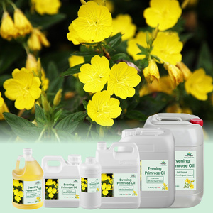 Kostenlose Probe Private Label Reines Natürliches Bio-Nachtprimelöl für Haut- & Körpermassage Hersteller Großhandel Bulk - Product Image 1