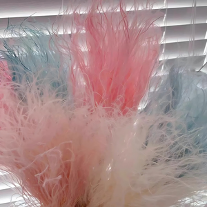 Herbe à plumes Stipa Tenuis séchée et préservée, couleur faiblement saturée, belle fleur naturelle, faite à la main, taille personnalisée, longue durée - Product Image 1