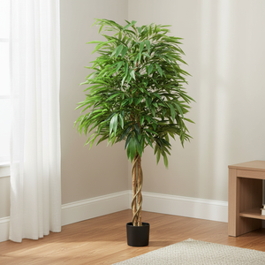 Big bamboo online