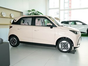 Véhicule électrique compact haute performance <span class=keywords><strong>Duomi</strong></span> modèle 2025, édition confort 305 km - Product Image 6