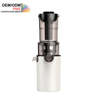 Elektrische mini slowjuicer met omgekeerde functie, 200W, hoge sapopbrengst, koudgeperste fruitsapcentrifuge, aangepaste logo's