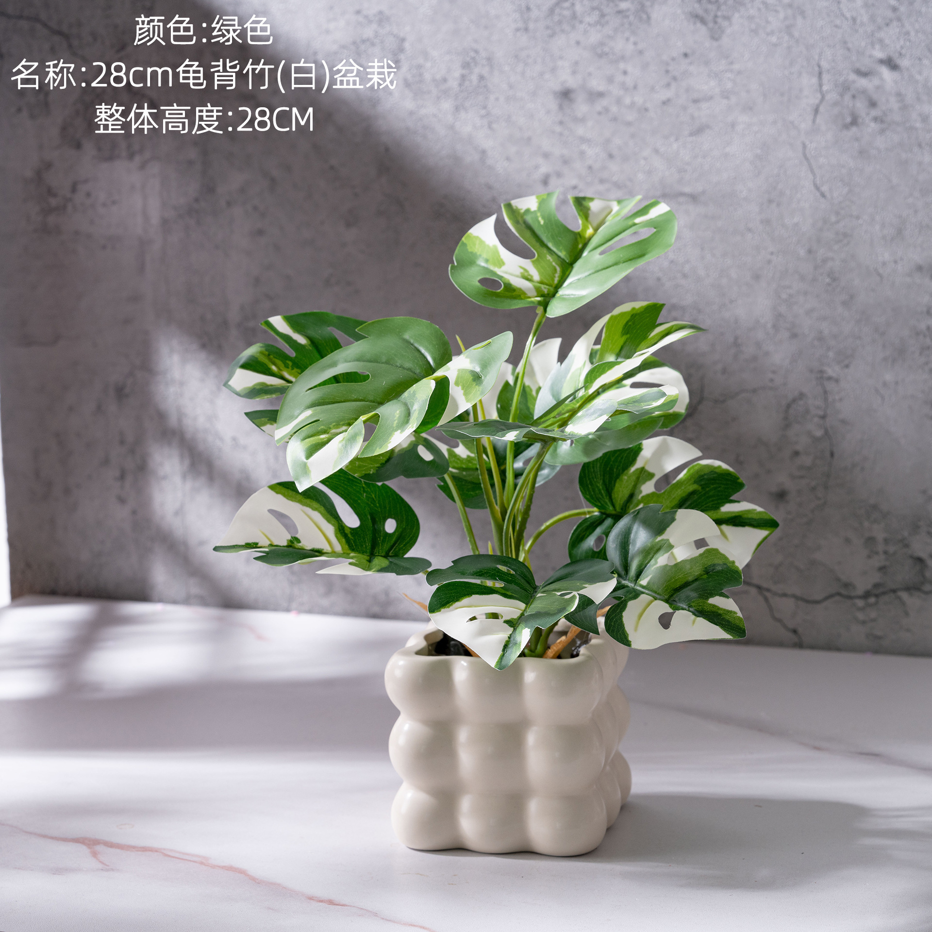 Plante en pot Monstera deliciosa (blanche) de 28 cm