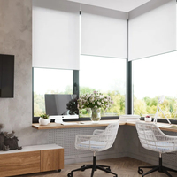 Persianas Enrollables Motorizadas Inteligentes Tuya Zigbee, Control Remoto por Aplicación, Automatización del Hogar, Persianas Solares Eléctricas con Batería Recargable Integrada