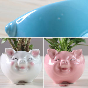 सुअर के आकार के साथ फ्लेक्सी सिरेमिक फूल बर्तन बगीचे के घर सजावट के लिए बड़े हाइड्रोपोनिक प्लांटर - Product Image 6