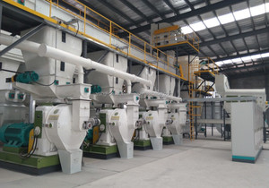 Molino <span class=keywords><strong>de</strong></span> <span class=keywords><strong>Pellets</strong></span> <span class=keywords><strong>de</strong></span> Biomasa <span class=keywords><strong>de</strong></span> Anillo <span class=keywords><strong>de</strong></span> 15kw, Nuevo Diseño, 0.3-0.5 Toneladas por Hora, con Motor y Engranaje, Alta Productividad, Precio Económico - Product Image 5