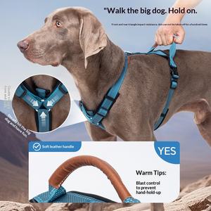 HY <span class=keywords><strong>2026</strong></span> 新型ペットベストスタイルハーネス ソフトパッド入りバックル留め具付き犬用リード 柴犬 中型コーギー 大型犬用屋外ロープハーネス - Product Image 4