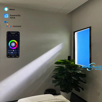 Coelux LED Panneau lumineux 2ft by 4ft Artificial Sunlight Skylight avec Blue Sky Effect Window Type de produit