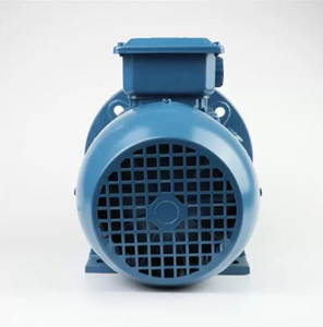 มอเตอร์เหนี่ยวนำแบบอะซิงโครนัสคุณภาพสูง IEC Industria Weg W21 W22 W20 50Hz 380V 3KW 18.5KW Ac S1 - Product Image 4
