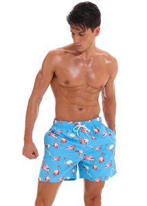 Design personalizzato fenicottero con stampa sublimazione uomo costume da bagno ragazzi pantaloni con fondo bordo costume da bagno pantaloncini da Surf uomo Bikini - Product Image 3