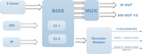 Récepteur satellite HD Décodeur DVB-S2X IRD - H.265 CI ASI IP & Décryptage BISS