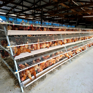 Nuevo Sistema de Jaulas de Malla de Alambre de 3/4 Niveles para Aves de Corral, para Cría Comercial de Gallinas Ponedoras, Capacidad para 90-200 Pollos - Product Image 1