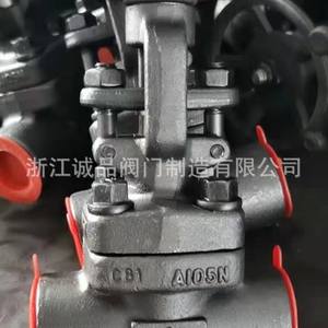 Vanne à boisseau forgée haute température et haute pression J61YJ61HJ61W, en acier inoxydable soudé et en acier moulé 304 316L, à commande hydraulique - Product Image 5