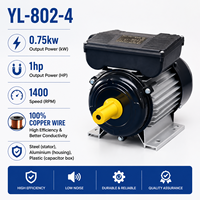 Moteur asynchrone monophasé AC à haut rendement et faible bruit YL-802-4 0,75 KW 1 CV 1400 tr/min, bobine 100 % cuivre, boîtier en aluminium