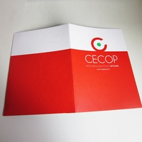 Carpeta de archivos A4 de papel personalizado, carpeta de publicidad de impresión para documentos, carpeta de presentación A5, regalo