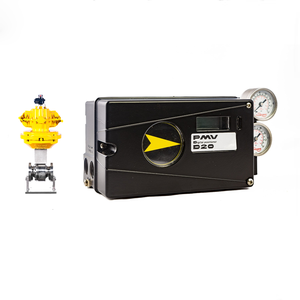 Nuevo y Original PMV D20 Digital con Shanghai Dianjian - Product Image 5